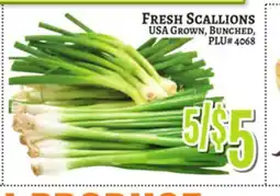 Trade Fair Supermarket FRESH SCALLIONS offer