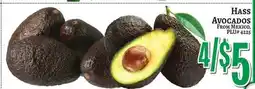 Trade Fair Supermarket Hass Avocados offer
