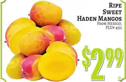 Trade Fair Supermarket RIPE SWEET HADEN MANGOS offer