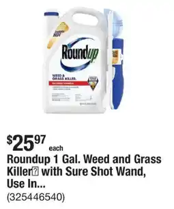 The Home Depot Roundup Weed and Grass Killer offer