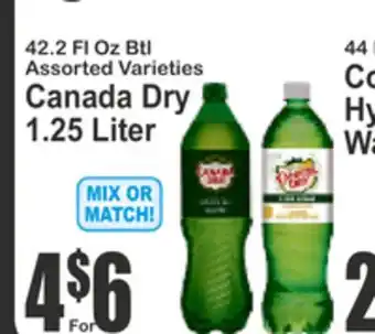 SuperFresh Canada Dry offer