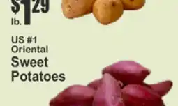 Key Food US #1 Oriental Sweet Potatoes offer