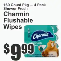 The Food Emporium Charmin Flushable Wipes offer