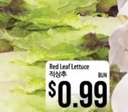 Hmart Red Leaf Lettuce offer
