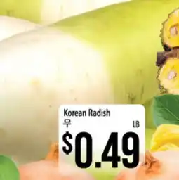 Hmart Korean Radish offer