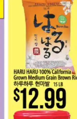 Hmart HARU HARU 100% California Grown Medium Grain Brown Rice offer