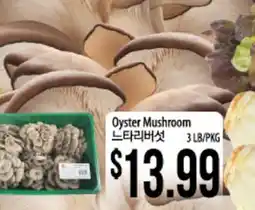 Hmart Oyster Mushroom offer