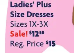 Family Dollar Ladies' Plus Size Dresses offer