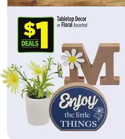 Dollar General Tabletop Decor or Floral offer