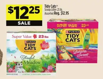 Dollar General Tidy Cats Scoop Litter offer