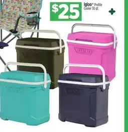 Dollar General Igloo Profile Cooler offer