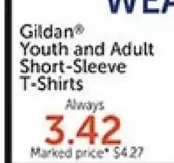 Hobby Lobby Gildan Youth and Adult Short-Sleeve T-Shirts offer
