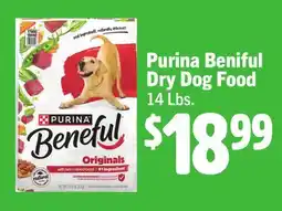 Vallarta Supermarkets Purina Beniful Dry Dog Food offer