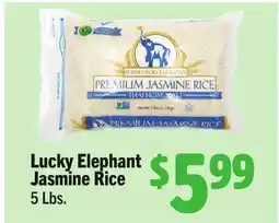 Vallarta Supermarkets Lucky Elephant Jasmine Rice offer