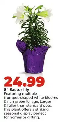 Hy-Vee 8 Easter lily offer