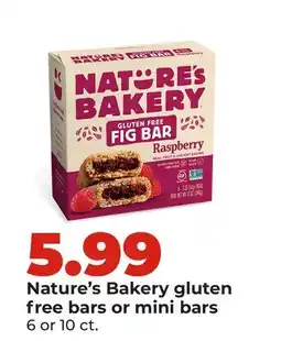 Hy-Vee Nature's Bakery gluten free bars or mini bars offer