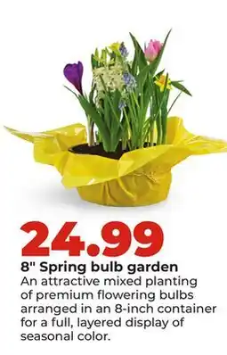 Hy-Vee 8 Spring bulb garden offer