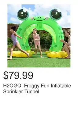 Costco H2OGO! Froggy Fun Inflatable Sprinkler Tunnel offer