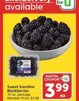 Vons Sweet Karoline Blackberries offer