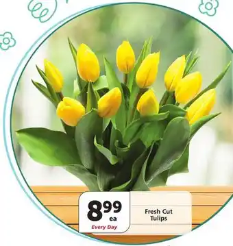 Vons Fresh Cut Tulips offer