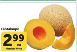 Vons Cantaloupe offer