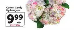 Vons Cotton Candy Hydrangeas offer