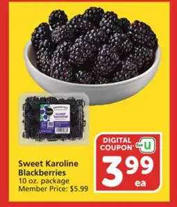 Albertsons Sweet Karoline Blackberries offer