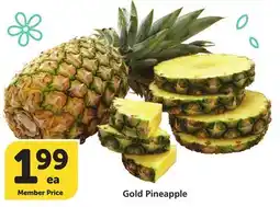 Albertsons Gold Pineapple offer