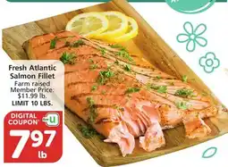 Albertsons Fresh Atlantic Salmon Fillet offer
