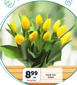 Albertsons Fresh Cut Tulips offer