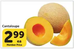 Albertsons Cantaloupe offer