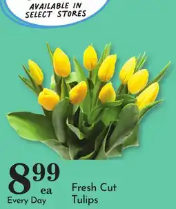 Pavilions Fresh Cut Tulips offer