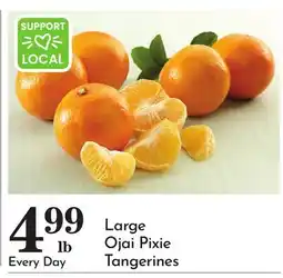 Pavilions Large Ojai Pixie Tangerines offer