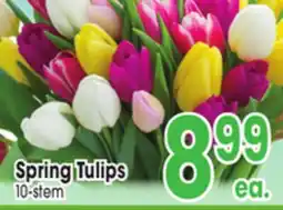 Jewel-Osco Spring Tulips offer