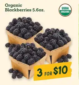 Sprouts Farmers Market Organic Blackberries offer