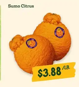 Sprouts Farmers Market Sumo Citrus offer