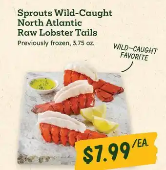 Sprouts Farmers Market Sprouts Wild-Caught North Atlantic Raw Lobster Tails offer