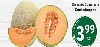 Rio Valley Market Cantaloupes offer
