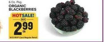 Food Lion Organic Blackberries offer
