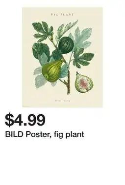 Ikea BILD Poster, fig plant offer