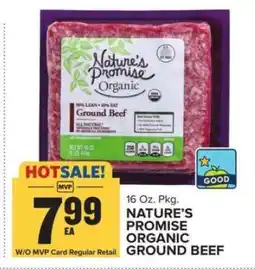 Food Lion Nature's Promise Organic Ground Beef offer