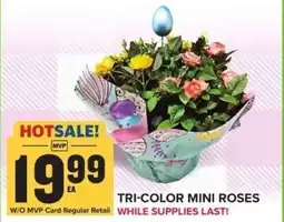 Food Lion TRI-COLOR MINI ROSES offer