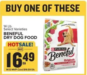 Food Lion Beneful Dry Dog Food offer