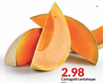 Hy-Vee Cantagold Cantaloupe offer