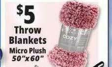 Ocean State Job Lot Throw Blankets Micro Plush offer