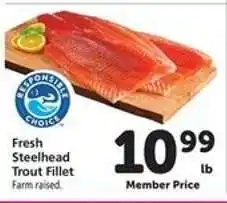 Safeway Fresh Steelhead Trout Fillet offer