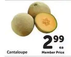 Safeway Cantaloupe offer