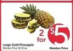 Safeway Large Gold Pineapple offer