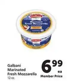 Safeway Galbani Marinated Fresh Mozzarella offer