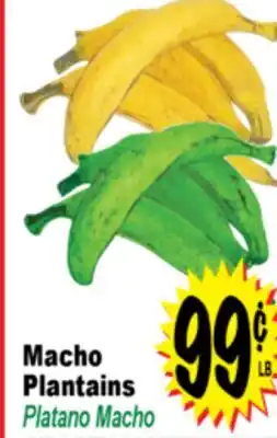 Superior Grocers Macho Plantains offer